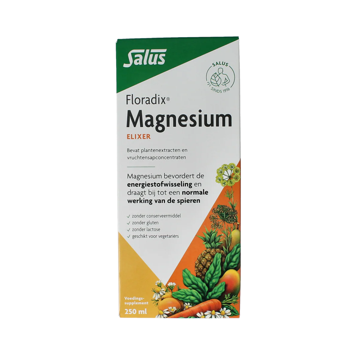 Salus Floradix magnesium 250.00 Milliliter