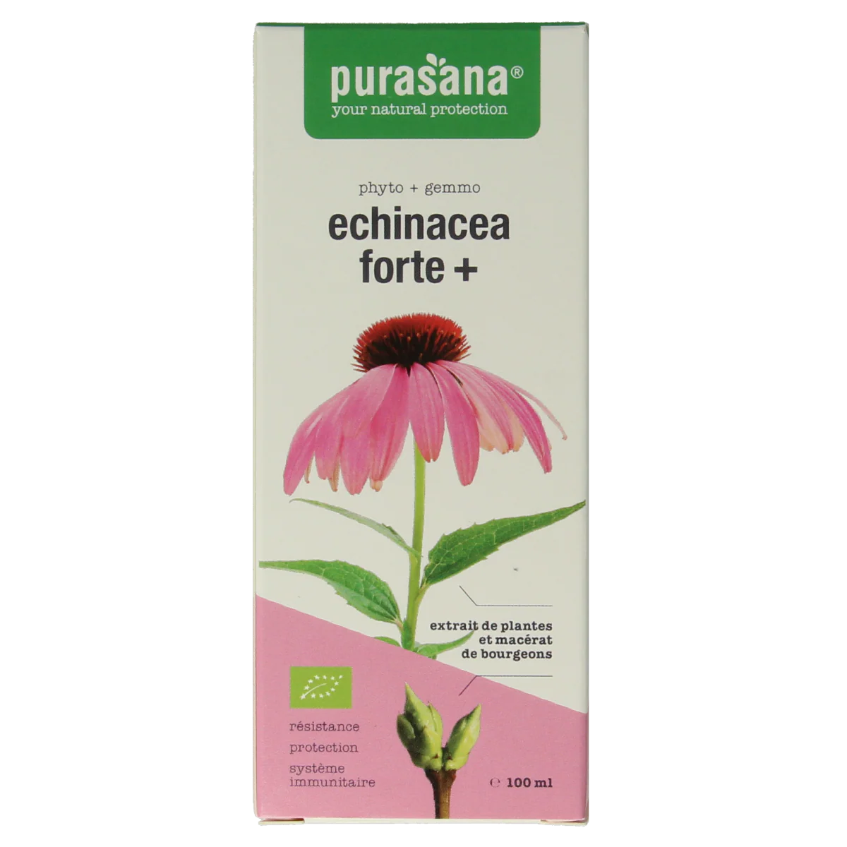Purasana Echinacea forte + vegan bio  100.00 Milliliter
