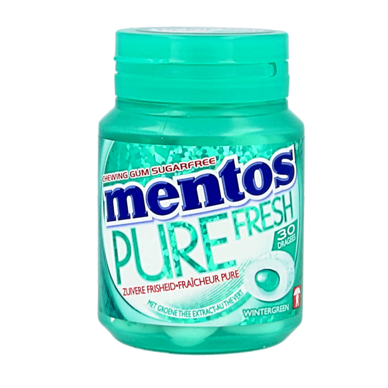 Mentos Gum pure wintergreen pot 30 Stuks