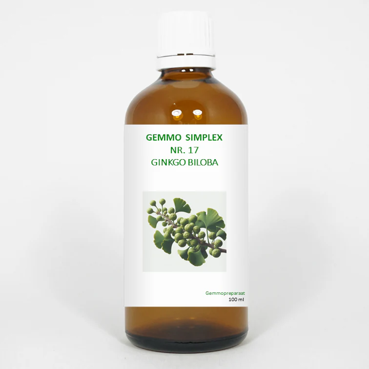 Balancepharma Gemmo simplex 17 ginkgo biloba 100.00 Milliliter