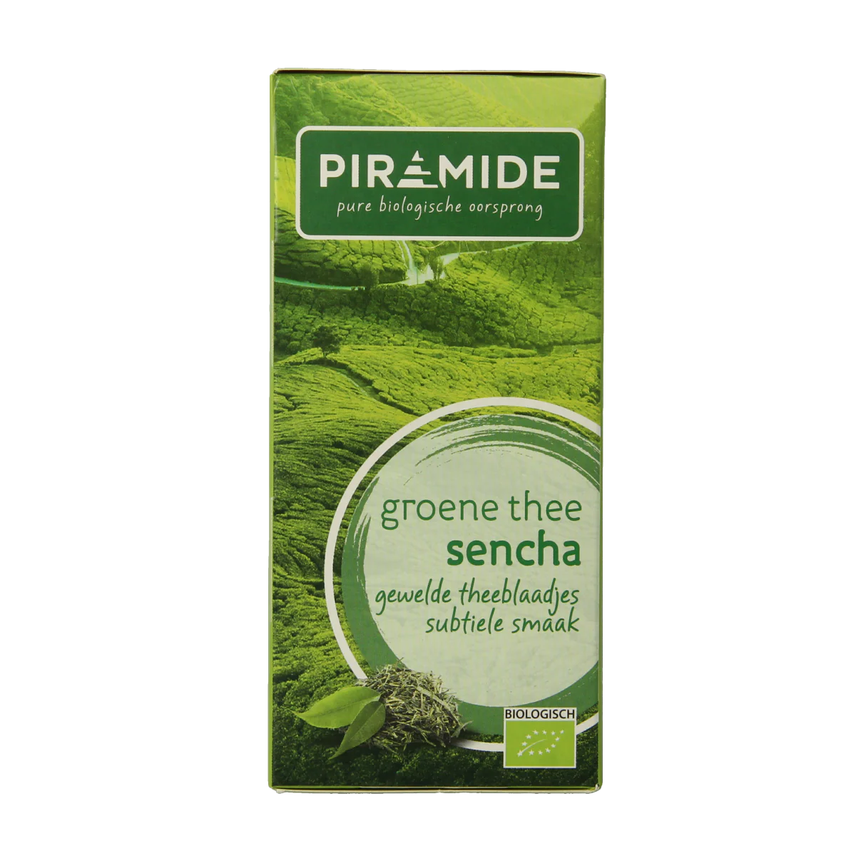 Piramide Groene thee sencha bio 20.00 Zakjes