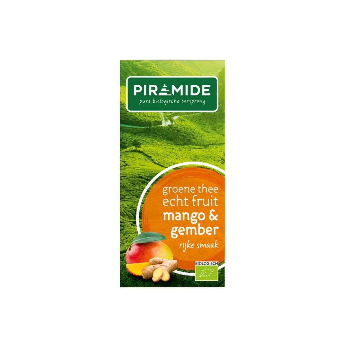 Piramide Groene thee mango en gember bio 20 Zakjes