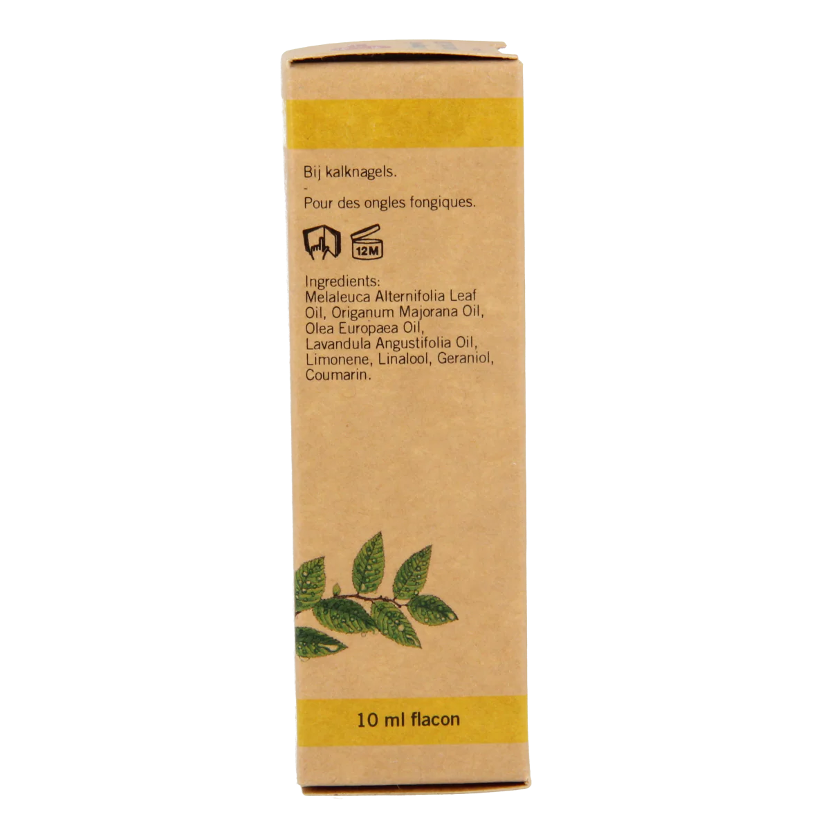 Aromed Ferula kalknagel olie 10.00 Milliliter