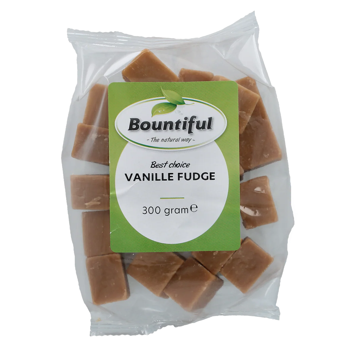 Bountiful Fudge vanille 300.00 Gram